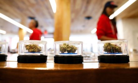 Los Angeles Weed Restorative Justice.jpg