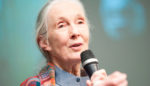 Jane Goodall on Climate Change, Technology, and What Makes Us Different From Chimps