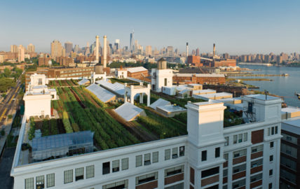 New York Navy Yard by Valery Rizzo