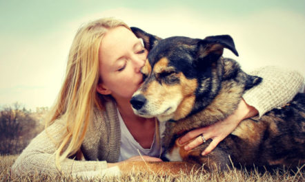 Dog Eulogy