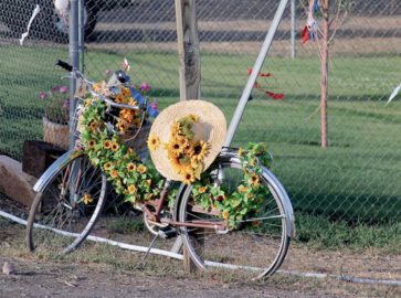 Bike photo by W.D. Vanlue