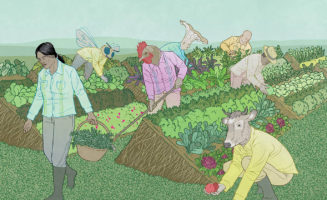 perennial-farming-credit-jon-adams.jpg
