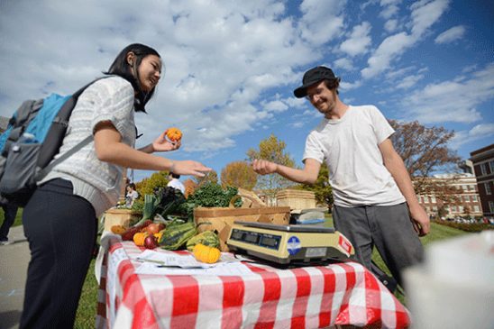 Our Harvest photo by Phil Didion