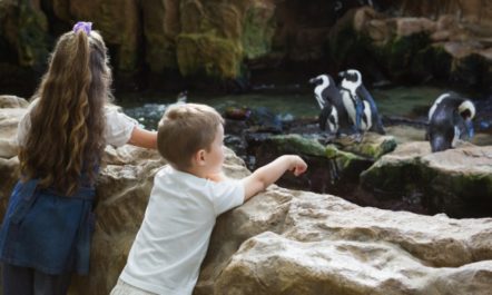 Zoos.jpg