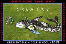 Art for the Sky Orca