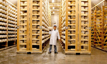 A worker at Jasper Hill Farm. Photo courtesy of Jasper Hill Farm.