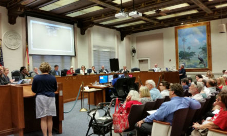 St. Petersburg city council