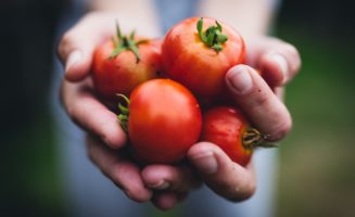 tomatoes-community.jpg