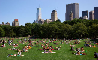 Central Park photo by Gregory James van Raalte