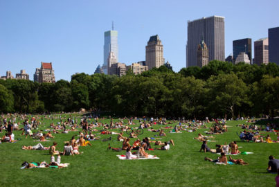 Central Park photo by Gregory James van Raalte