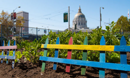 Tenderloin Peoples’ Garden. Photo by Sergio Ruiz.