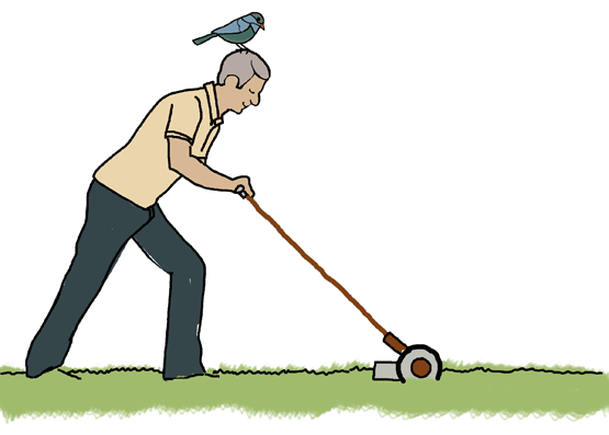 Push Mower Illustration