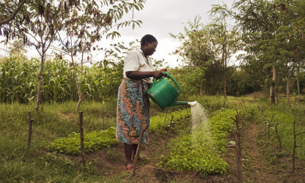 agroecology.jpg