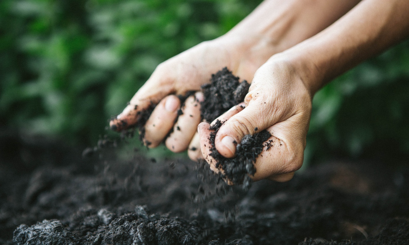 soil-hands.jpg