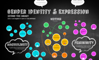 Infographic: Gender Identity and Expression