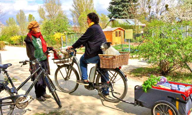 Germany-Public-Spaces.gif