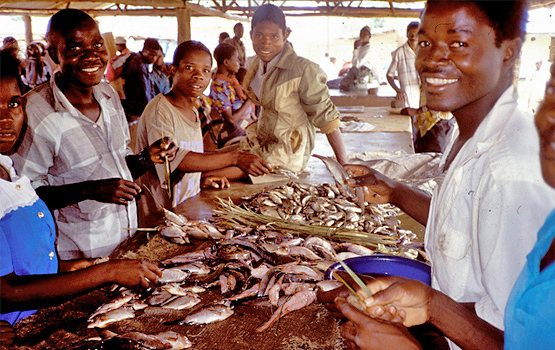 African market