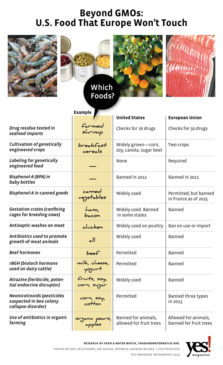 Beyond GMOs Infographic