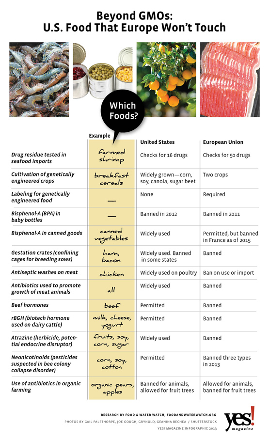 Beyond GMOs Infographic