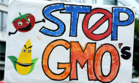 GMOS_650.jpg
