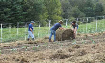 organic-high-school-field.jpg