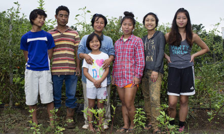 transplanting_family.jpg