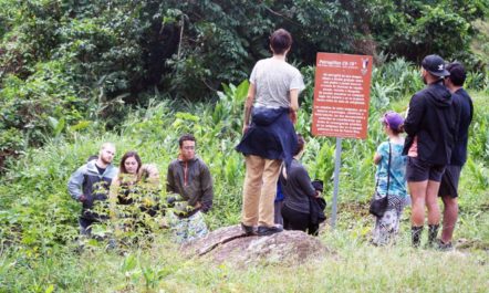 1.puerto-rico-farm-tour.jpg
