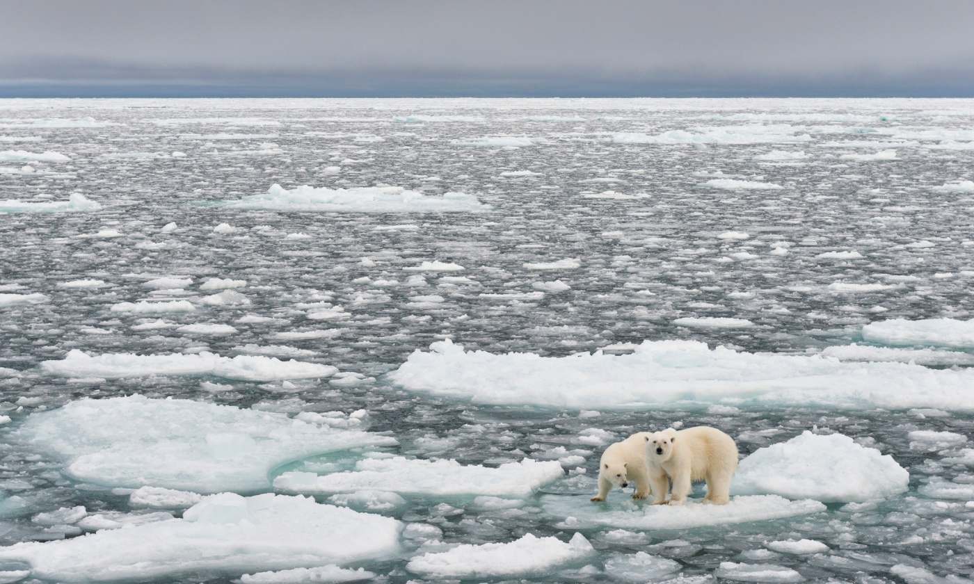 climate-change-global-warming-primary.jpg