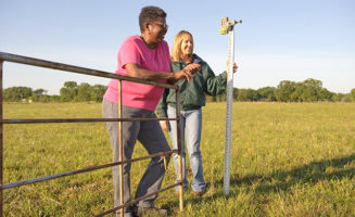 Black Farmers USDA