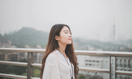 ikigai.gif
