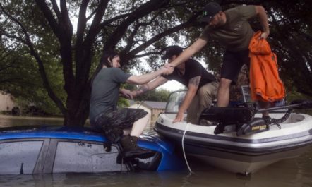 Harvey Social Media.jpg