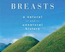 Breasts Cover