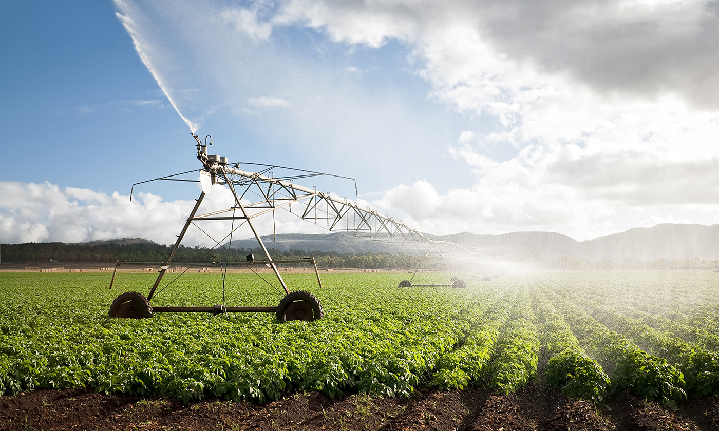 water-irrigation-agriculture-field.jpg