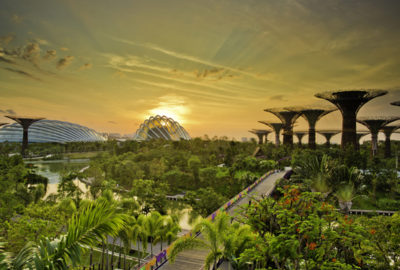 Gardens by the Bay in Singapore. Photo by Piyavachara Nacchanandana.
