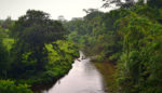 Study Finds Indigenous Land Management Highly Effective in Combating Climate Change