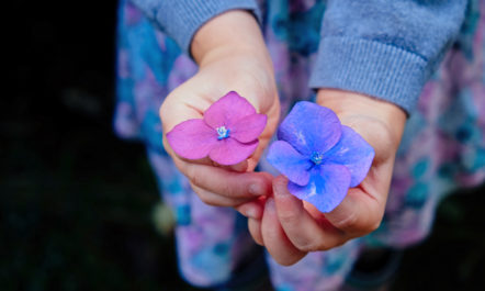 Photo by Annie Spratt via Unsplash