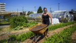 Could This Ancient Jewish Practice Be a New Tool for Sustainable Agriculture?