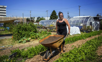 1-shmita-sustainable-farming-fallow-land-top-1.jpg