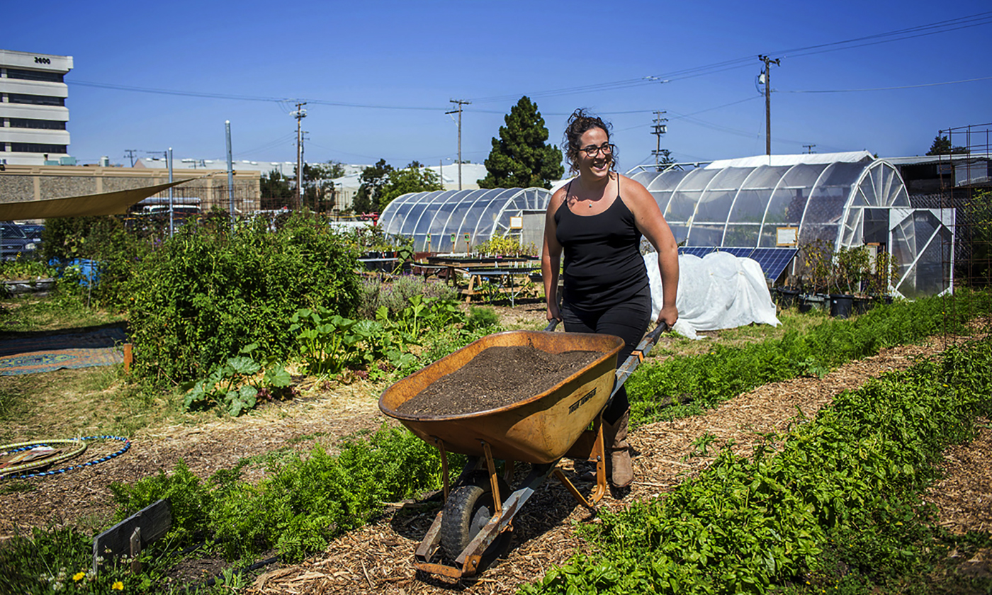 1-shmita-sustainable-farming-fallow-land-top-1.jpg