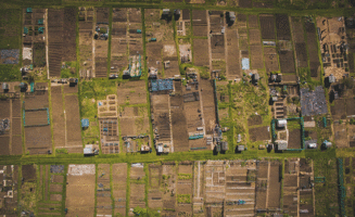 Healthy-Soil.gif