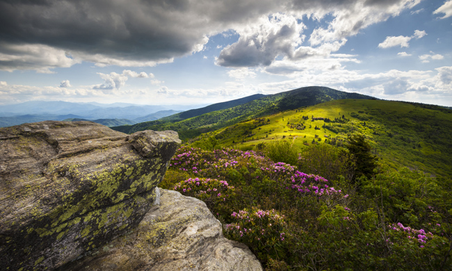 North Carolina Appalachians. Photo by Dave Allen / Shutterstock.