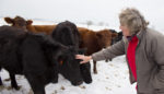 West Virginia Cattle Farmers Build the Local Food Economy They Need to Thrive