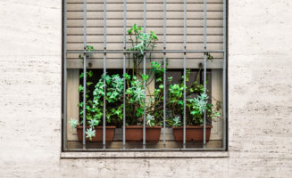 grow-prison-window.jpg