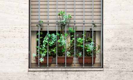 grow-prison-window.jpg