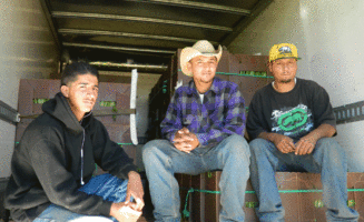 Octavio Garcia and his brothers now manage their own 6.5 acres leased from ALBA. Photo by Nancy Porto / ALBA.