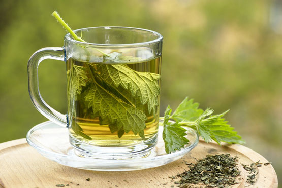 Nettle Tea photo courtesy of Shutterstock