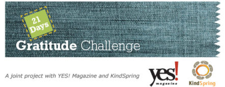 Gratitude Challenge wide graphic