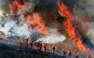 norgaard-prescribed-burn.jpg