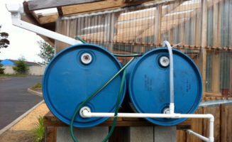 Rain barrels by Gail Langellotto.